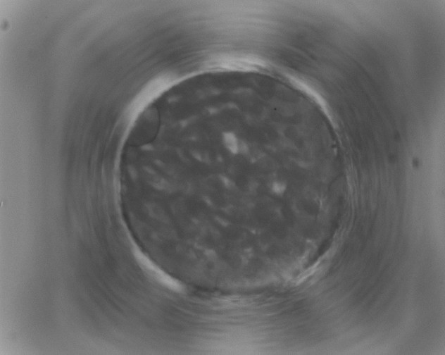 X0000066121471200603171741