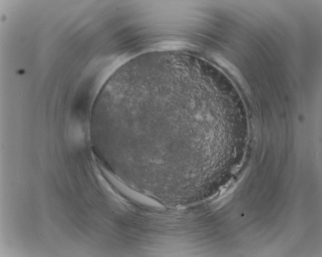 X0000066121473200603171741