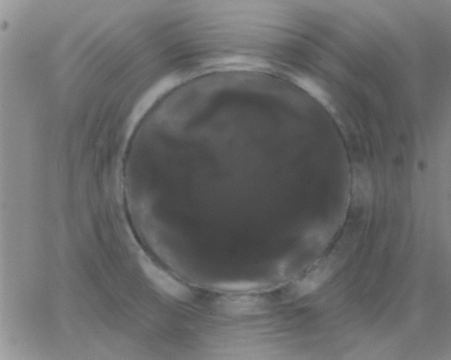 X0000066121474200603171741