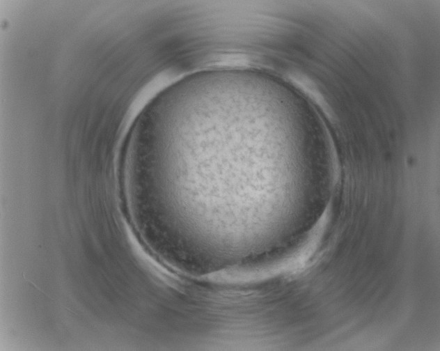 X0000066121475200603171741