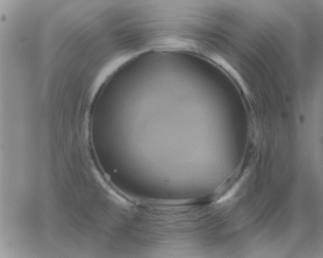 X0000066121477200603171741