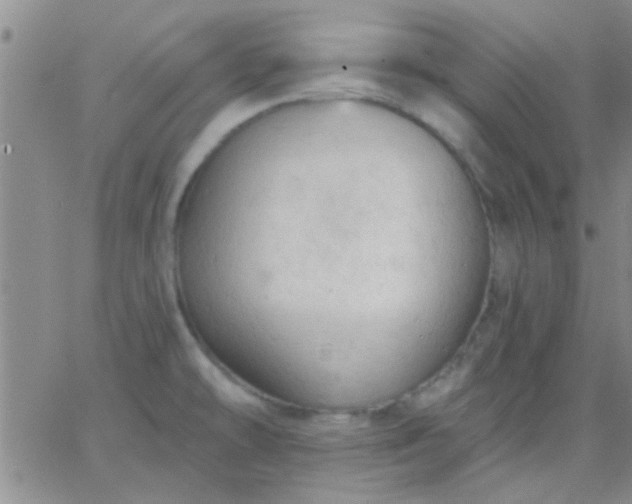 X0000066121478200603171741