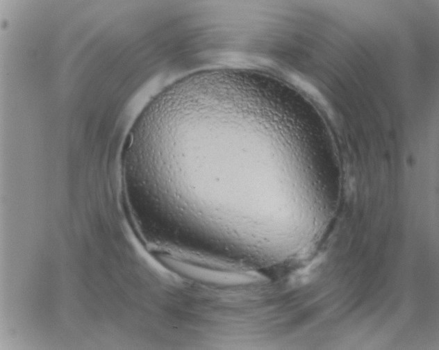 X0000066121479200603171741