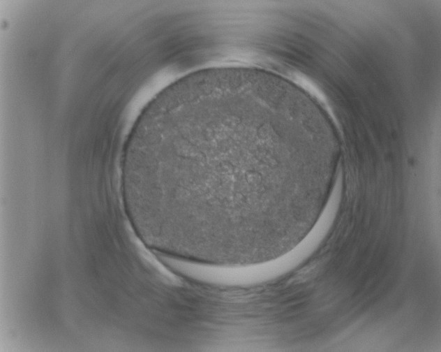 X0000066121480200603171741