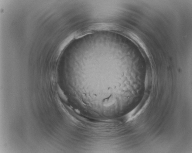 X0000066121481200603171741