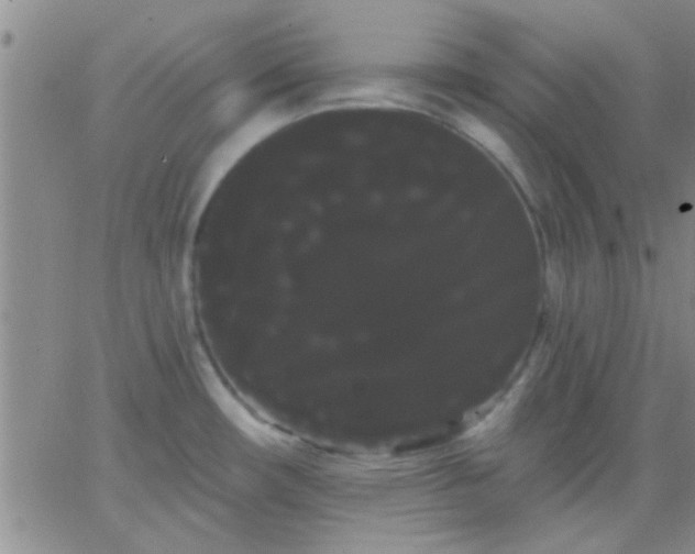 X0000066121482200603171741