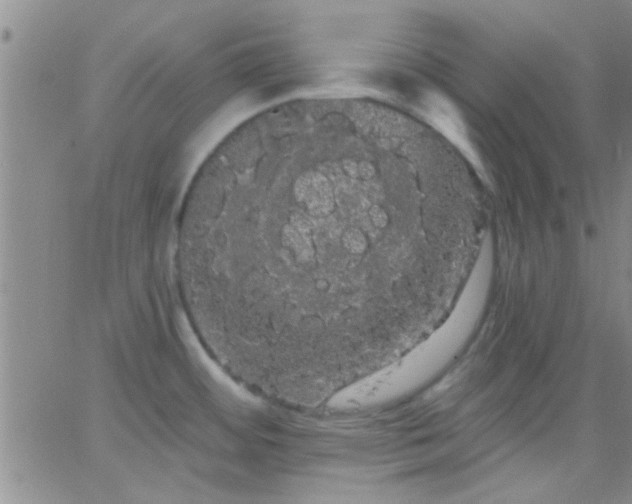 X0000066121484200603171741