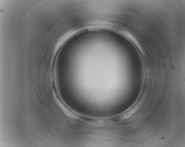 X0000066121485200603171741