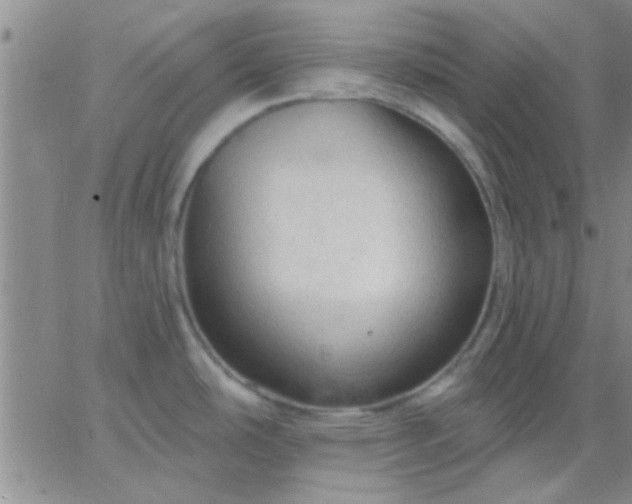 X0000066121486200603171741