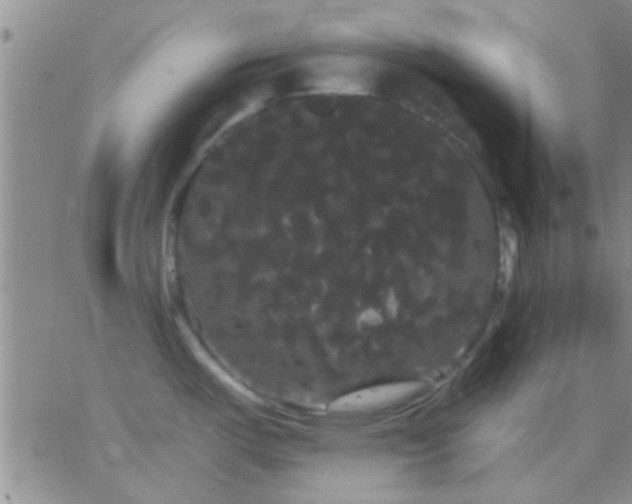 X0000066121487200603171741