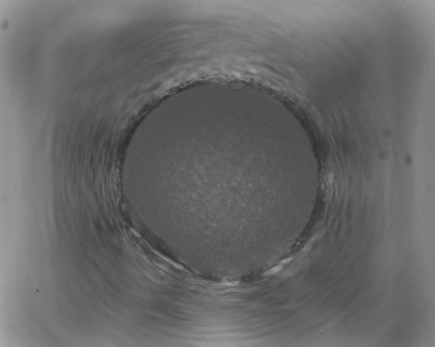 X0000066121490200603171740