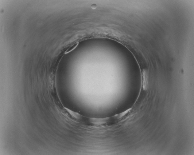 X0000066121491200603171740