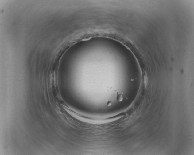 X0000066121492200603171740