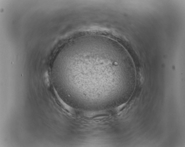 X0000066121493200603171740