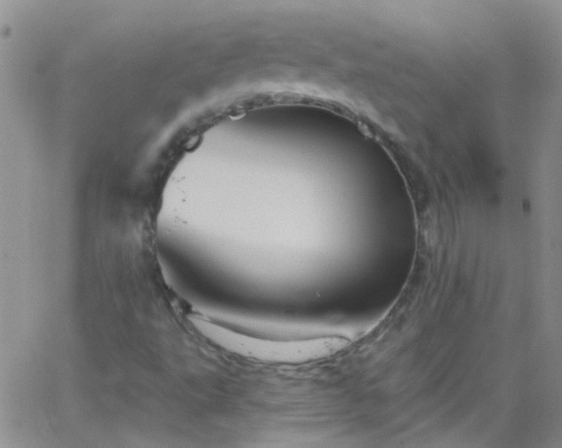 X0000066121495200603171740