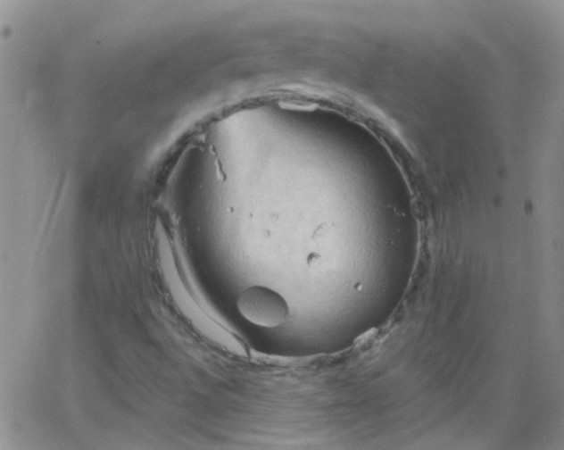 X0000066121496200603171741