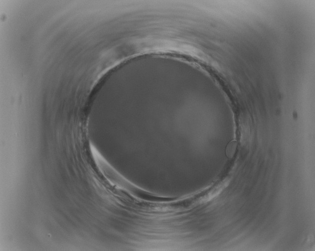 X0000066121497200603171741