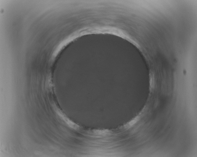 X0000066121498200603171741