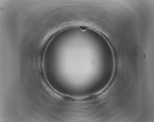 X0000066121499200603171741