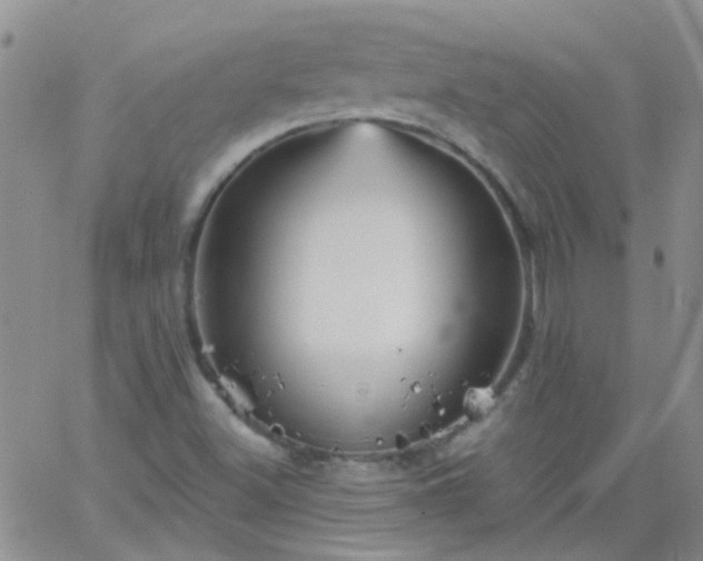 X0000066121500200603171741