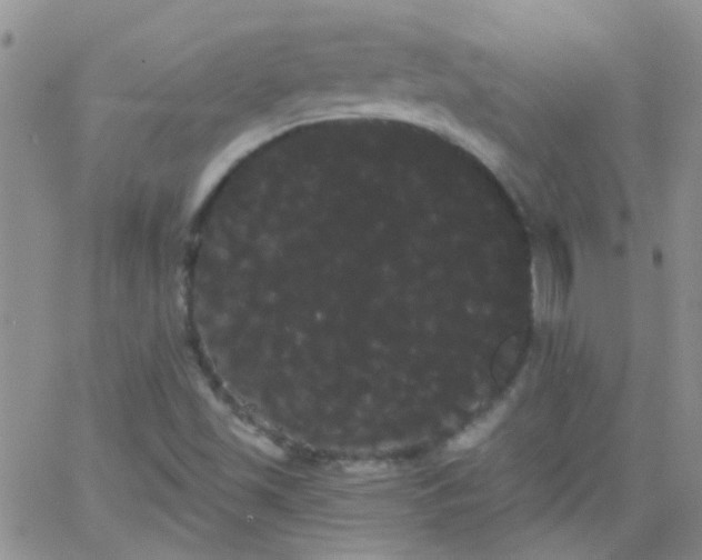 X0000066121501200603171741