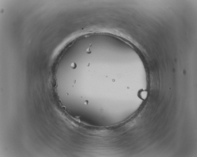 X0000066121502200603171741