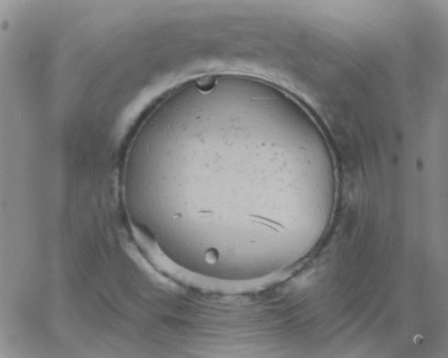 X0000066121503200603171741