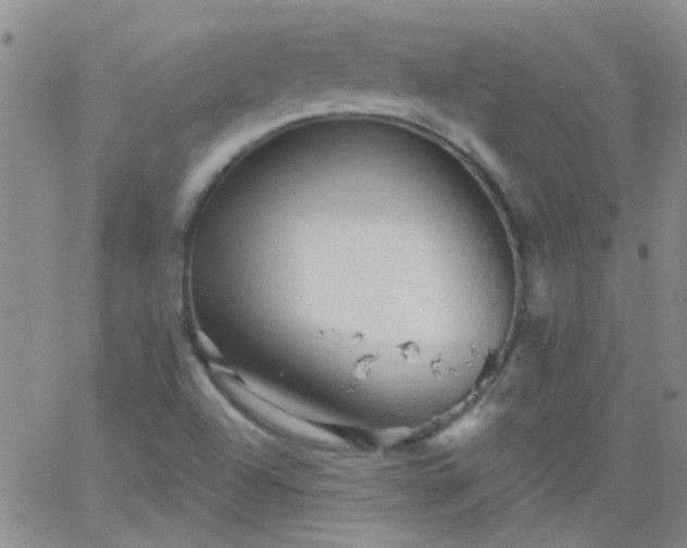 X0000066121504200603171741