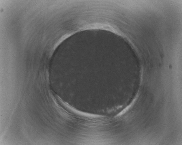 X0000066121505200603171741