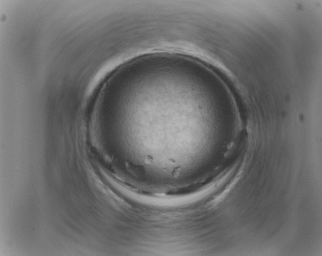 X0000066121506200603171741