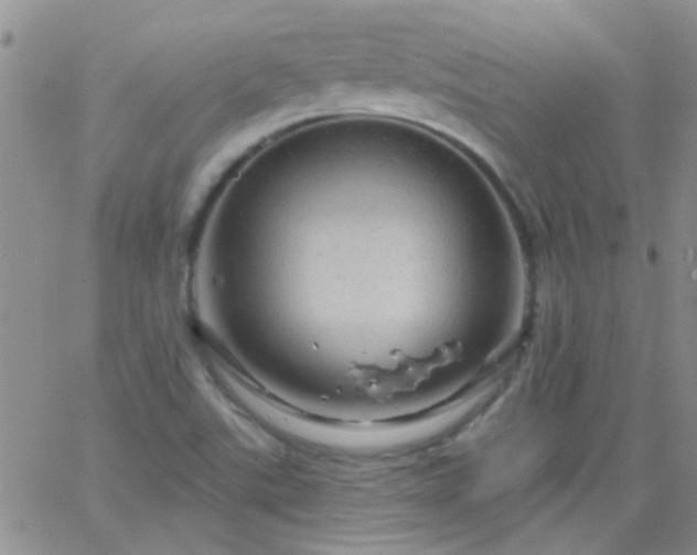 X0000066121507200603171741