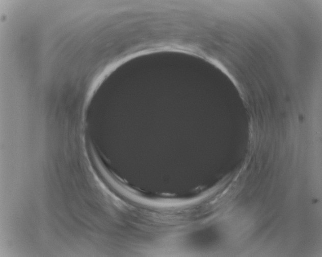 X0000066121508200603171741