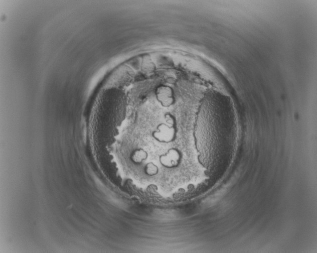 X0000066121509200603171741