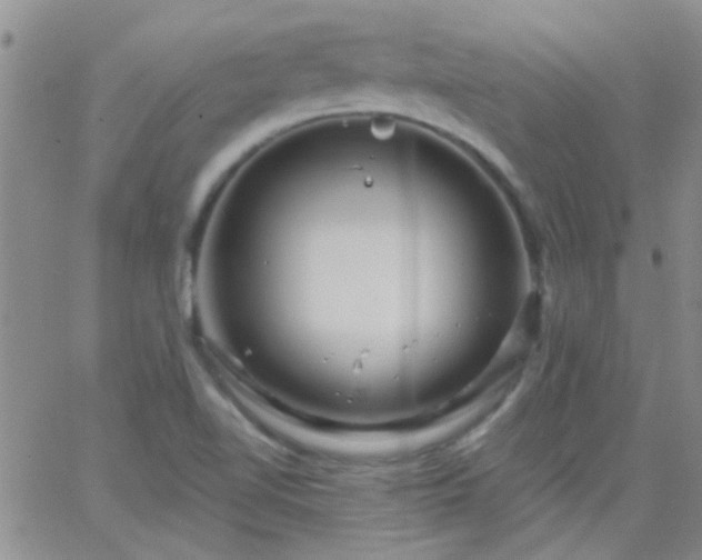 X0000066121510200603171741