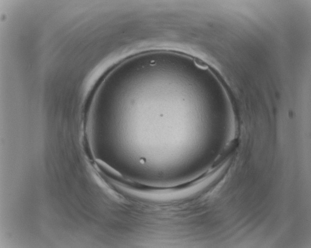 X0000066121511200603171741