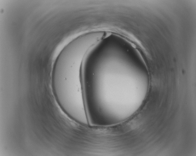 X0000066121512200603171741