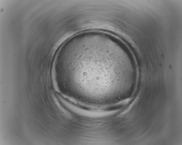 X0000066121513200603171741