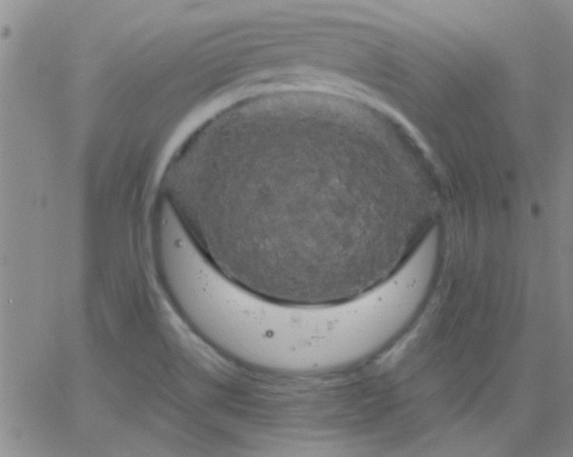 X0000066121514200603171741