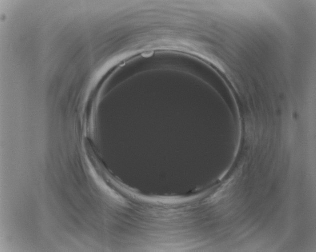 X0000066121515200603171741