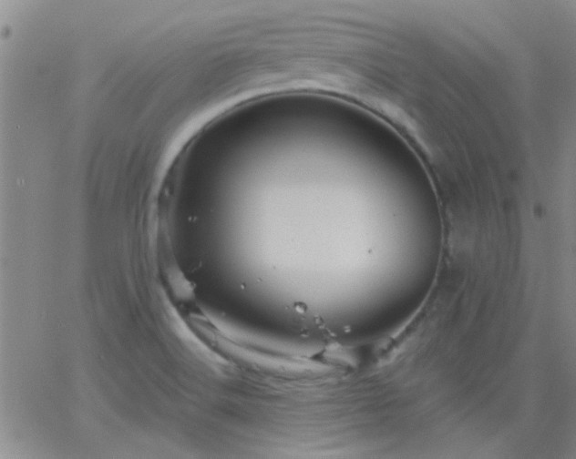 X0000066121516200603171741