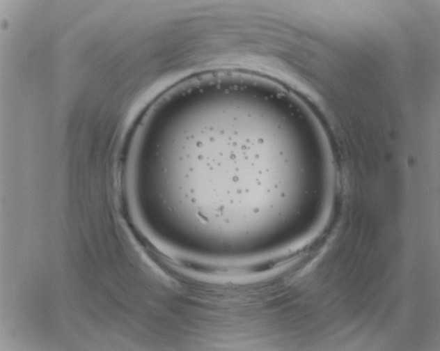 X0000066121517200603171741