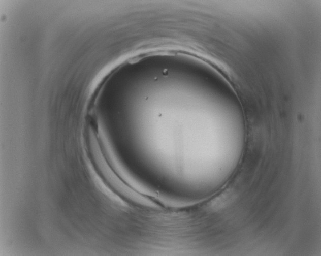 X0000066121518200603171741