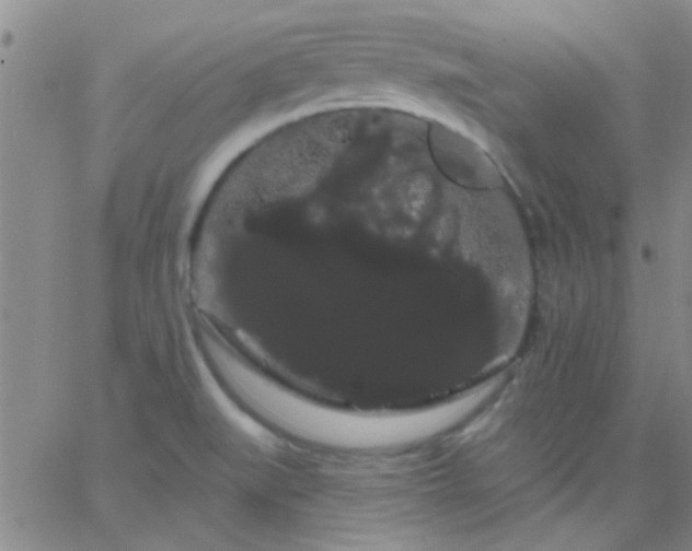 X0000066121519200603171741