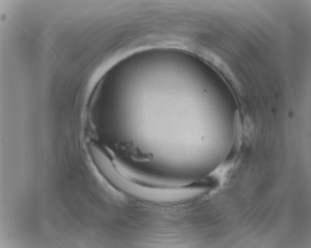 X0000066121520200603171741