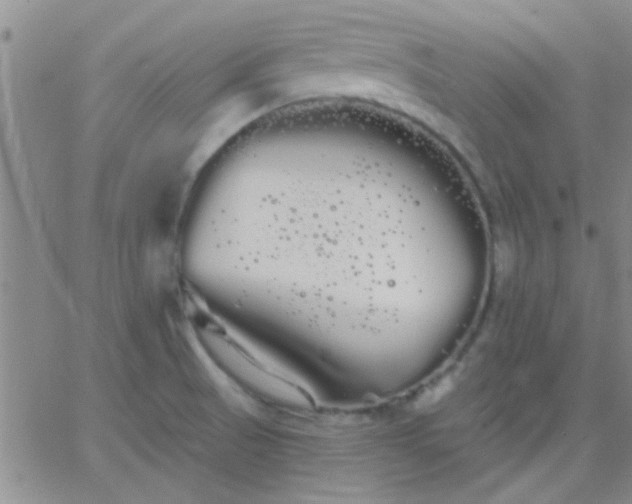 X0000066121521200603171741