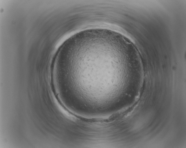 X0000066121523200603171741