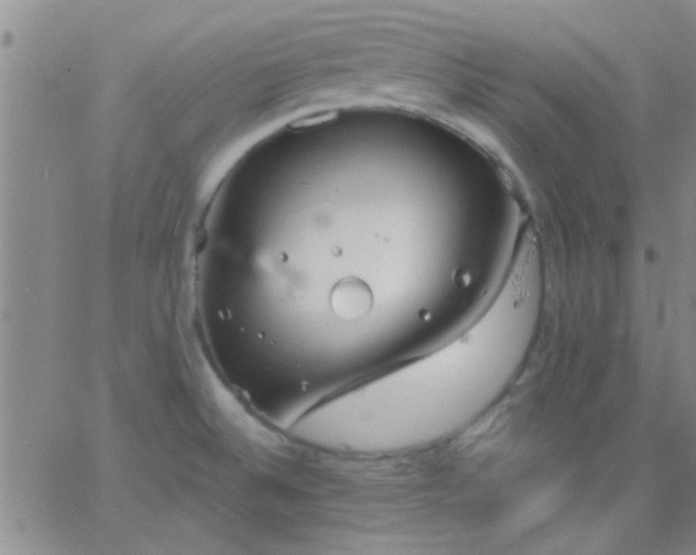 X0000066121524200603171741