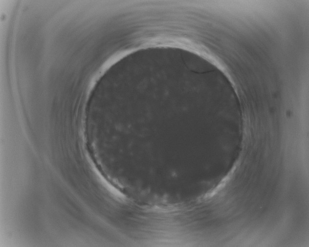 X0000066121525200603171741