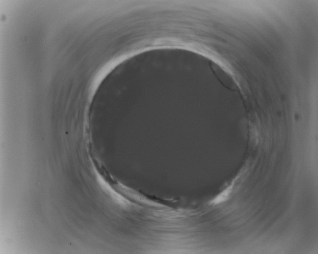 X0000066121527200603171741