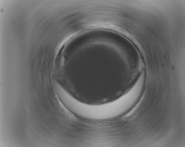 X0000066121529200603171741